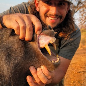 Baboon Bow Hunt South Africa