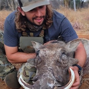 Warthog Bow Hunt South Africa