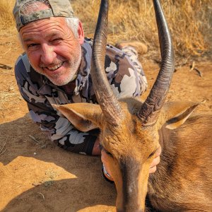 Bushbuck Bow Hunt South Africa