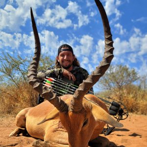 Impala Bow Hunt South Africa