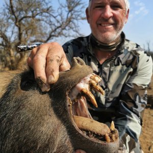 Baboon Bow Hunt South Africa