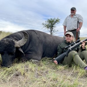 Water Buffalo Argentina