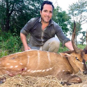 Bushbuck Hunting Zimbabwe