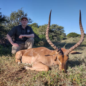 Impala Hunting South Africa