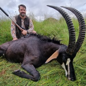 Sable Hunting South Africa