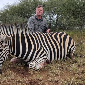 Zebra Hunting South Africa