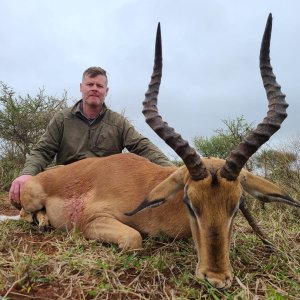 Impala Hunting South Africa