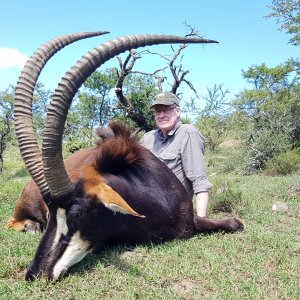 Sable Hunting Eastern Cape South Africa