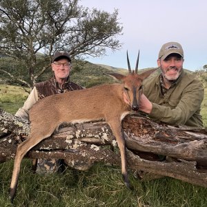 Duiker Hunting Eastern Cape South Africa