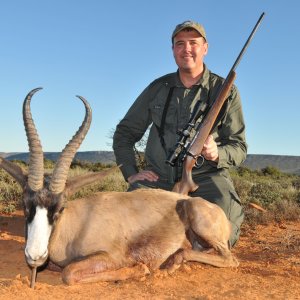 Black Springbok Hunt Karoo South Africa