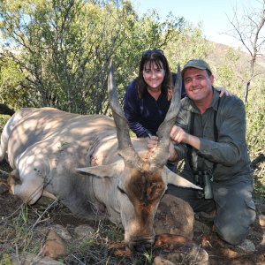 Eland Hunt Eastern Cape South Africa