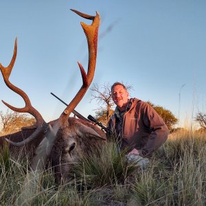 Red Stag Hunting Argentina