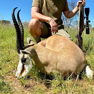 Springbok Hunting Namibia