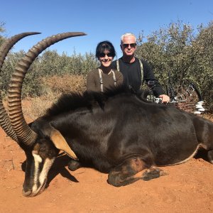 Sable Bow Hunting South Africa