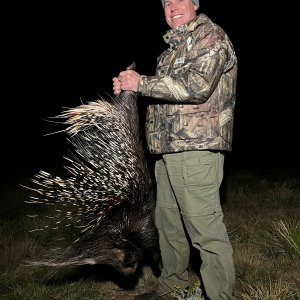 Porcupine Hunting Mpumalanga South Africa