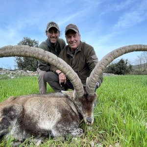 Beceite Ibex Hunt Spain