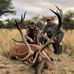 Red Stag Hunting Argentina