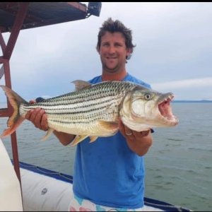 Tiger Fish Fishing