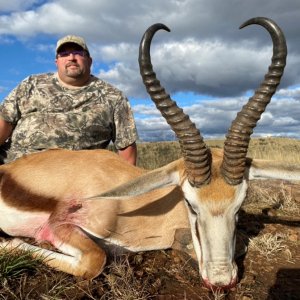 Springbok Hunting South Africa