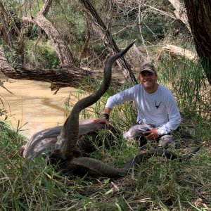 Kudu Hunting South Africa