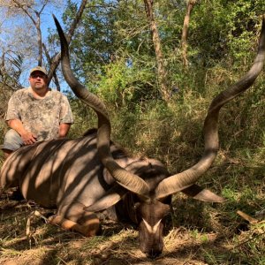 Kudu Hunting South Africa