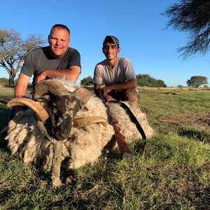 Patagonian Ram Hunting Argentina