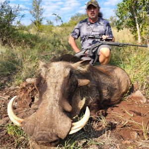 Warthog Hunting South Africa