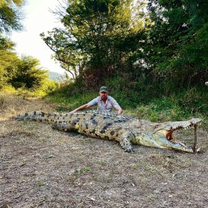 13,5 Foot Crocodile Hunting Luangwa River Zambia