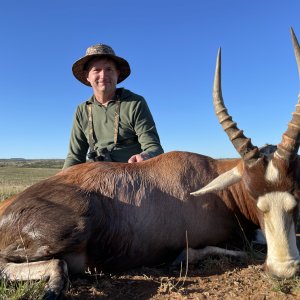 Blesbok Hunting South Africa