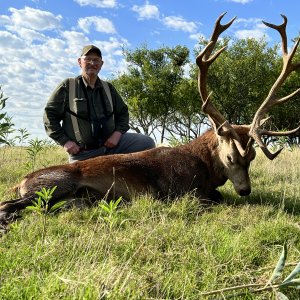 Red Stag Hunt Argentina