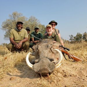 Warthog Hunting Zimbabwe