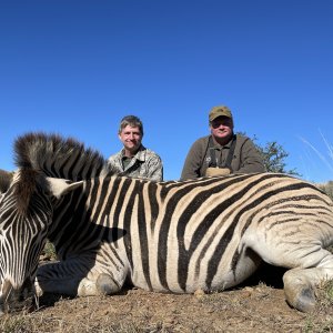 Zebra Hunting South Africa