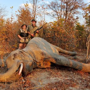 Zimbabwe Elephant Hunting