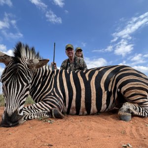 Zebra Hunting South Africa