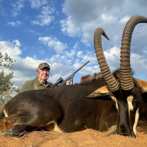 Sable Hunting South Africa