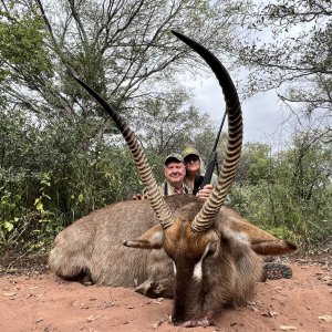 Waterbuck Hunting South Africa