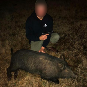 Texas Hog Hunt