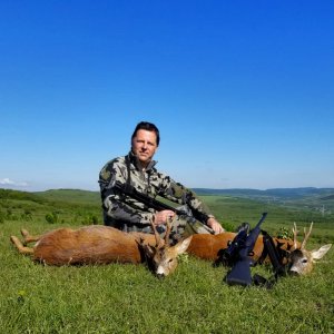 Roe Deer Hunting Romania