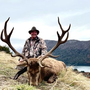 Red Stag Hunt Argentina