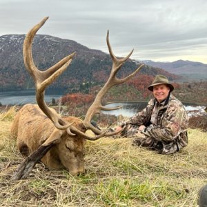 Red Stag Hunt Argentina