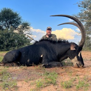 Sable Hunting South Africa