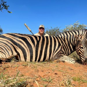 Zebra Hunting South Africa