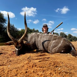 Nyala Hunting South Africa