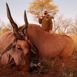 Eland Hunting Namibia