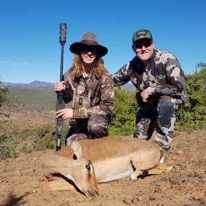 Female Impala Hunt Eastern Cape South Africa