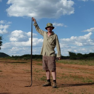 Black Mamba Namibia