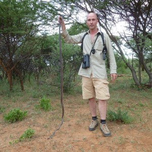 Black Mamba Namibia