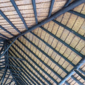 Thatch Roof