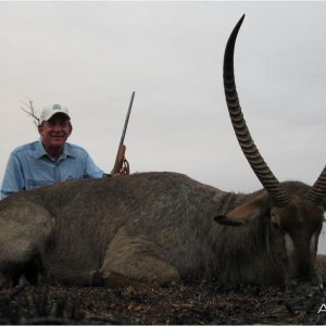 Waterbuck from Mozambique