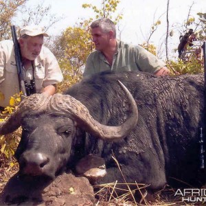 Hunting Buffalo